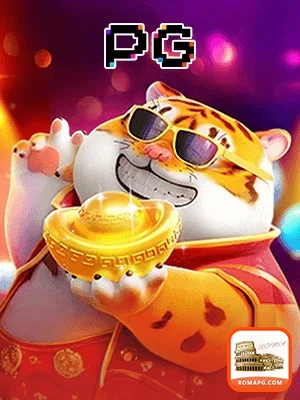 Usuário se cadastrando no romapg.com em smartphone